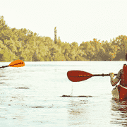 people kayaking on a calm lake